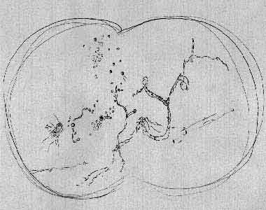 © Leuchtstruktur Verlag: Zeichnung von Mouches volantes in der rechten und linken Seite des Bewusstseins.