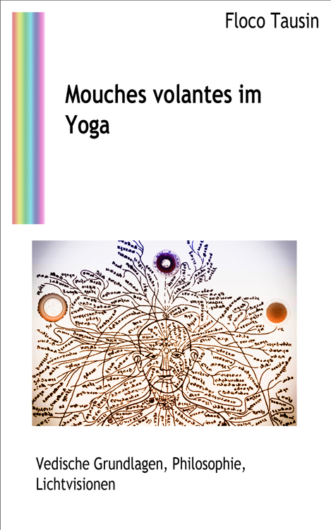 Das Buch: Mouches volantes im Yoga