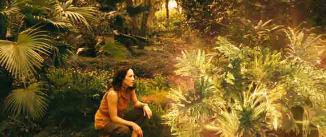 „Eine Wolke des weissen Lichts, welche ihren Körper umgab, sprang förmlich vorwärts und umhüllte den Philodendron“ – Sarah (im Flim: Julia) speist den Philodendron mit ihrer Energie.