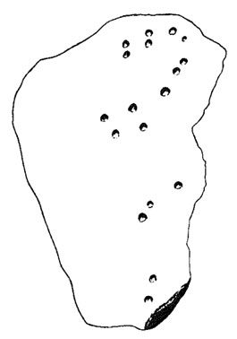 Neandertaler Grabplatte (nach: Smith, 199)